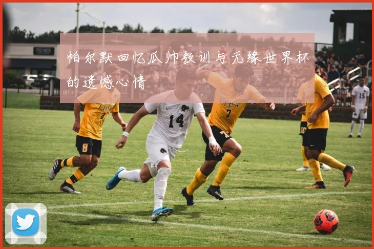 帕尔默回忆瓜帅教训与无缘世界杯的遗憾心情