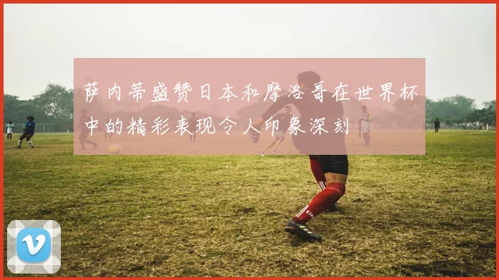 萨内蒂盛赞日本和摩洛哥在世界杯中的精彩表现令人印象深刻